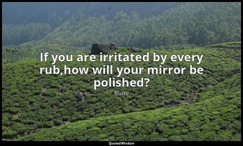If you are irritated by every rub,how will your mirror be polished? — Rumi