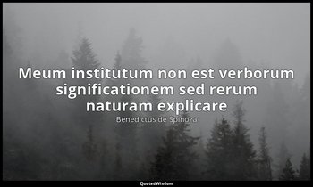 Meum institutum non est verborum significationem sed rerum naturam explicare — Benedictus de Spinoza