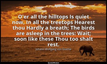 O'er all the hilltops Is quiet now, In all the treetops Hearest thou Hardly a br — Johann Wolfgang von Goethe