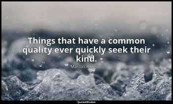 Things that have a common quality ever quickly seek their kind. — Marcus Aurelius