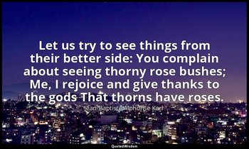 Let us try to see things from their better side: You complain about seeing thorn — Jean-Baptiste Alphonse Karr