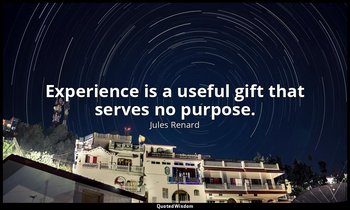 Experience is a useful gift that serves no purpose. — Jules Renard