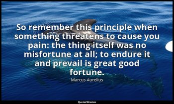 So remember this principle when something threatens to cause you pain: the thing — Marcus Aurelius