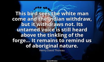 This bird sees the white man come and the Indian withdraw, but it withdraws not. — Henry David Thoreau