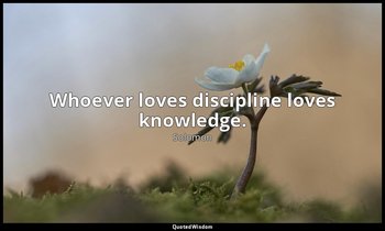 Whoever loves discipline loves knowledge. — Solomon