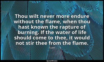Thou wilt never more endure without the flame, when thou hast known the rapture  — Rumi