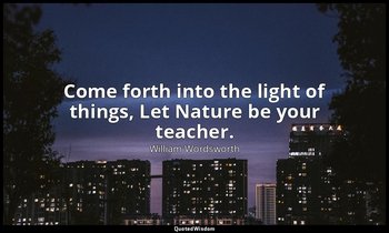 Come forth into the light of things, Let Nature be your teacher. — William Wordsworth