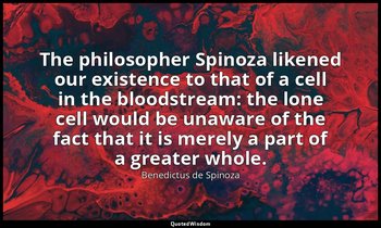 The philosopher Spinoza likened our existence to that of a cell in the bloodstre — Benedictus de Spinoza