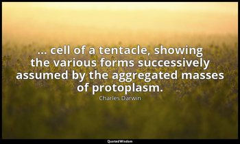 … cell of a tentacle, showing the various forms successively assumed by the aggr — Charles Darwin