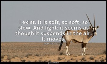 I exist. It is soft, so soft, so slow. And light: it seems as though it suspends — Jean-Paul Sartre