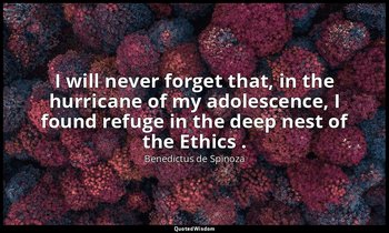 I will never forget that, in the hurricane of my adolescence, I found refuge in  — Benedictus de Spinoza