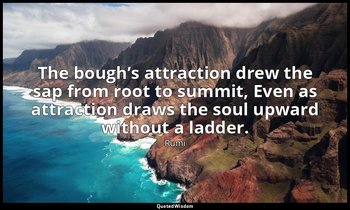 The bough’s attraction drew the sap from root to summit, Even as attraction draw — Rumi