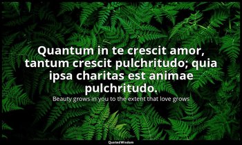 Quantum in te crescit amor, tantum crescit pulchritudo; quia ipsa charitas est a — Beauty grows in you to the extent that love grows