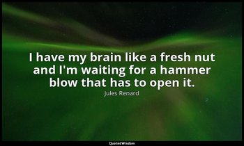 I have my brain like a fresh nut and I'm waiting for a hammer blow that has to o — Jules Renard