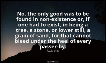 No, the only good was to be found in non-existence or, if one had to exist, in b — Émile Zola