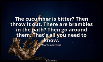 The cucumber is bitter? Then throw it out. There are brambles in the path? Then  — Marcus Aurelius