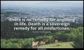There is no remedy for anything in life. Death is a sovereign remedy for all mis — Ernest Hemingway