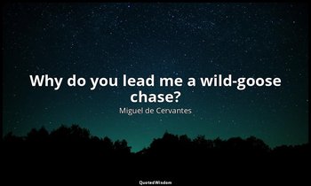 Why do you lead me a wild-goose chase? — Miguel de Cervantes