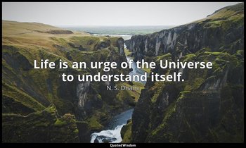 Life is an urge of the Universe to understand itself. — N. S. Dhami