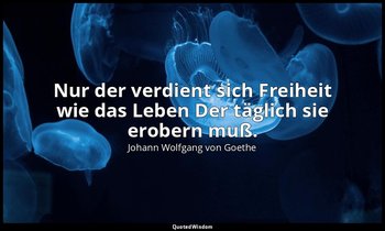 Nur der verdient sich Freiheit wie das Leben Der täglich sie erobern muß. — Johann Wolfgang von Goethe