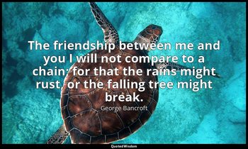 The friendship between me and you I will not compare to a chain; for that the ra — George Bancroft