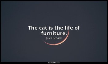 The cat is the life of furniture. — Jules Renard