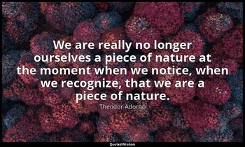 We are really no longer ourselves a piece of nature at the moment when we notice — Theodor Adorno