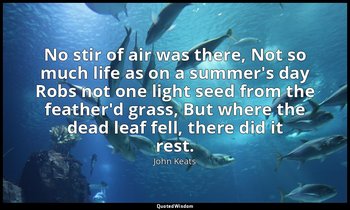 No stir of air was there, Not so much life as on a summer's day Robs not one lig — John Keats