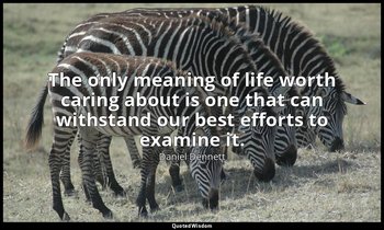 The only meaning of life worth caring about is one that can withstand our best e — Daniel Dennett