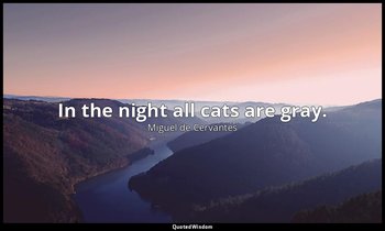 In the night all cats are gray. — Miguel de Cervantes