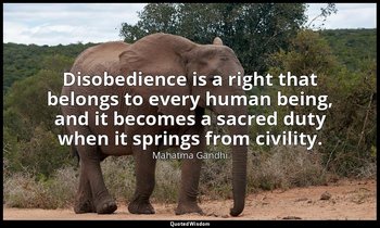 Disobedience is a right that belongs to every human being, and it becomes a sacr — Mahatma Gandhi