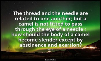 The thread and the needle are related to one another; but a camel is not fitted  — Rumi