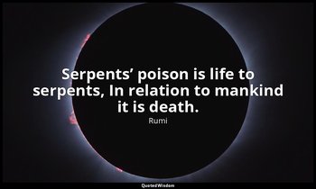 Serpents’ poison is life to serpents, In relation to mankind it is death. — Rumi