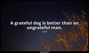 A grateful dog is better than an ungrateful man. — Saadi