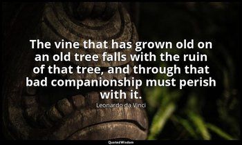 The vine that has grown old on an old tree falls with the ruin of that tree, and — Leonardo da Vinci