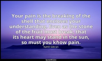 Your pain is the breaking of the shell that encloses your understanding. Even as — Kahlil Gibran