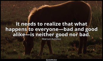 It needs to realize that what happens to everyone—bad and good alike—is neither  — Marcus Aurelius