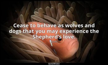 Cease to behave as wolves and dogs that you may experience the Shepherd’s love. — Rumi