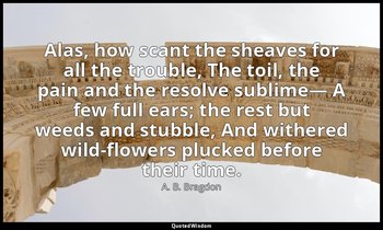Alas, how scant the sheaves for all the trouble, The toil, the pain and the reso — A. B. Bragdon