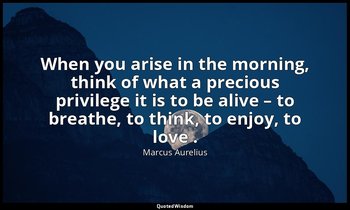 When you arise in the morning, think of what a precious privilege it is to be al — Marcus Aurelius