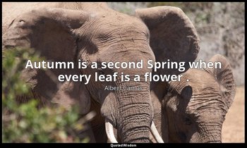 Autumn is a second Spring when every leaf is a flower . — Albert Camus