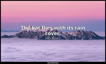 The bat flies with its rain cover. — Jules Renard