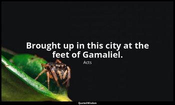 Brought up in this city at the feet of Gamaliel. — Acts