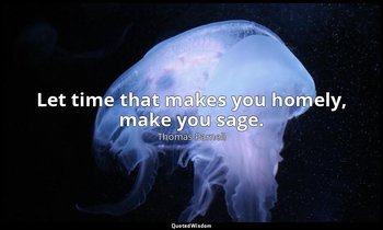Let time that makes you homely, make you sage. — Thomas Parnell