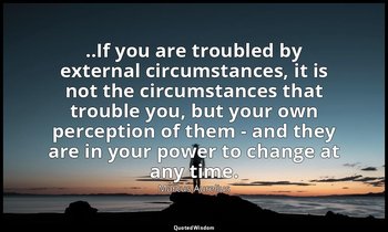 ..If you are troubled by external circumstances, it is not the circumstances tha — Marcus Aurelius