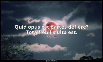 Quid opus est partes deflere? Tota flebilis uita est. — Seneca