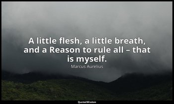 A little flesh, a little breath, and a Reason to rule all – that is myself. — Marcus Aurelius