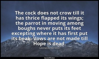 The cock does not crow till it has thrice flapped its wings; the parrot in movin — Leonardo da Vinci