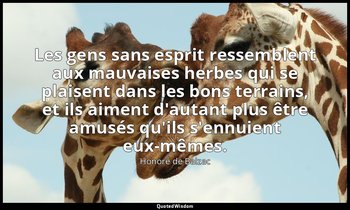 Les gens sans esprit ressemblent aux mauvaises herbes qui se plaisent dans les b — Honoré de Balzac