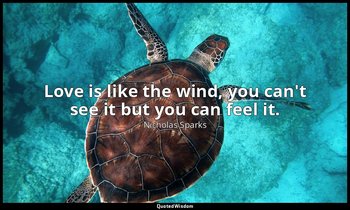 Love is like the wind, you can't see it but you can feel it. — Nicholas Sparks